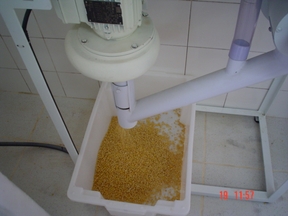 Descascadeira de grãos de soja modelo DGS120 Descascadeira de grãos de soja modelo DGS120