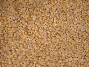 Soja sem casca Soja sem casca